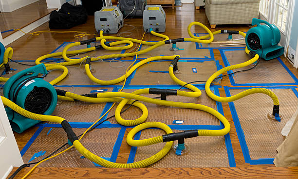 Professional Sewage Cleanup technician working in Bellevue, IA